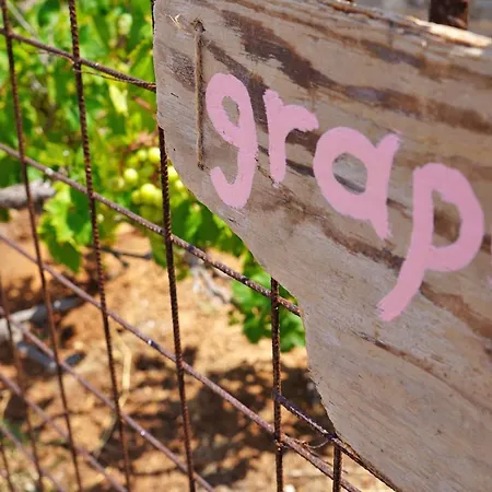Σπίτι διακοπών Figs & Grapes * Cosy Small House * Marmari * South Evia Marmari (Evia)