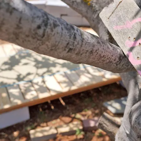 度假居 Figs & Grapes * Cosy Small House * Marmari * South Evia Marmari (Evia)