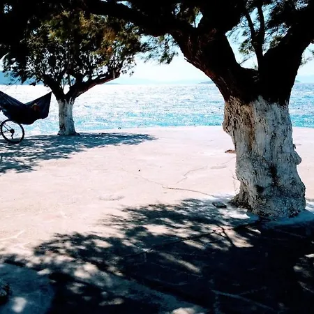 Casa vacanze Figs & Grapes * Cosy Small House * Marmari * South Evia Marmari (Evia)